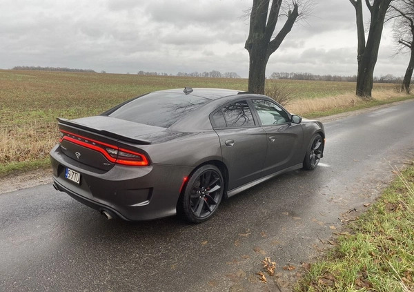 Dodge Charger cena 115500 przebieg: 118000, rok produkcji 2019 z Mieszkowice małe 326